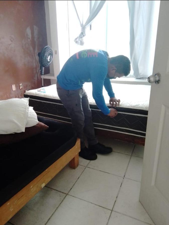 Accommodatie bij particulieren Iow4 Hn Senior *